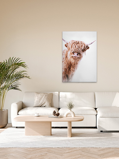 Canvas print with cow, white and beige