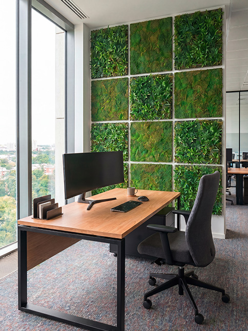 Moss acoustic panels in the study