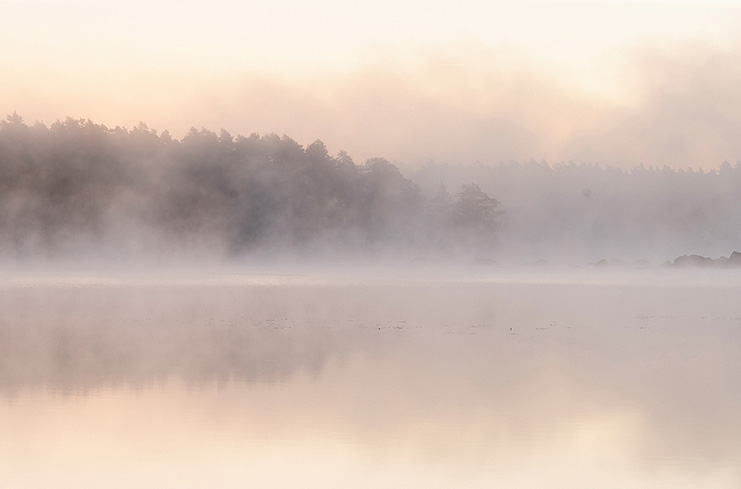 Avalon 2 – Morning Lake met vroege ochtend mist Wallpaper
