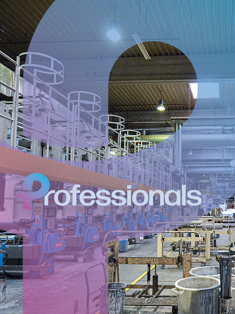 Professionals Day Produktion