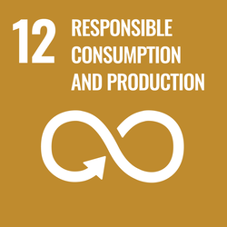12th Goal - Responsible consumption and production