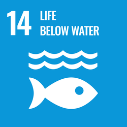 14th Goal - Life below water