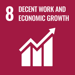 8th Goal - Decent work and economic growth