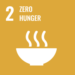 Icon 2nd Goal – Zero hunger